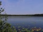 Озеро Щучье: отдых и рыбалка